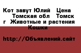 Кот завут Юлий › Цена ­ 0 - Томская обл., Томск г. Животные и растения » Кошки   